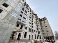 TC_00775.jpeg - 26.12.2025